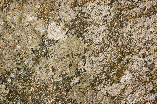 Stone Brown Background Texture — Stock Photo, Image