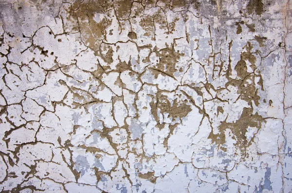 Vecchio Muro Sfondo Texture — Foto Stock