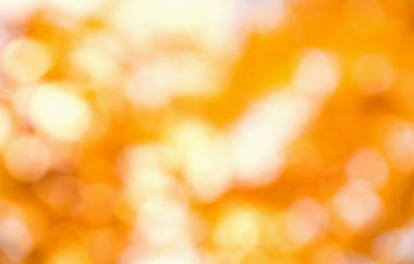 Sonbahar arkaplanı güneşli ışınlarla