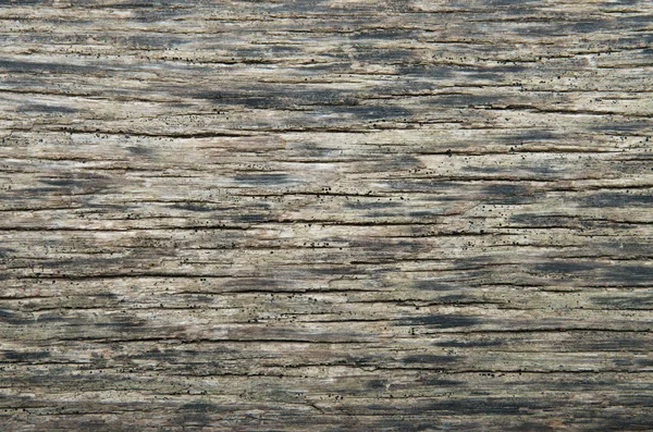 Vecchio Sfondo Texture Legno — Foto Stock