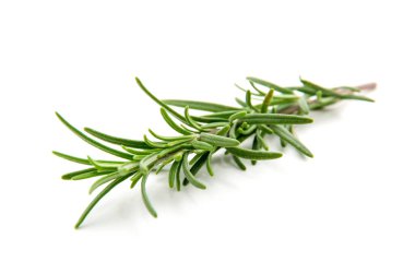 Beyaz arka planda bir dal biberiye