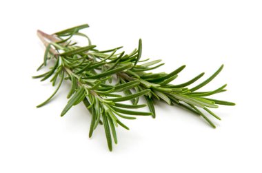 Beyaz arka planda bir dal biberiye