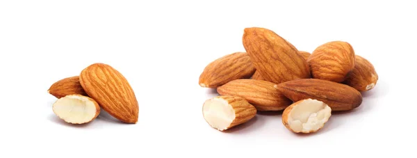 Almond Isolated White — Stock Photo, Image