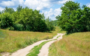 Ormanda ve gökyüzünde köy yolu