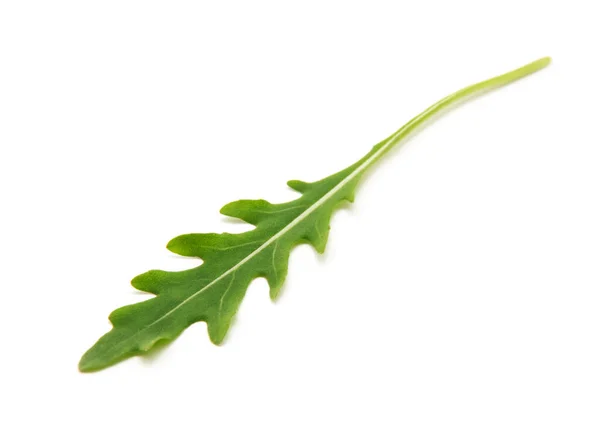 Πράσινο Φύλλο Ρόκα Απομονωμένο Λευκό — Φωτογραφία Αρχείου