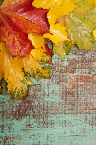 Őszi Levelek Fából Készült Háttér — Stock Fotó
