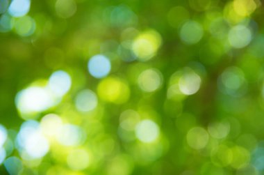 Doğal bulanık arkaplan dokusu