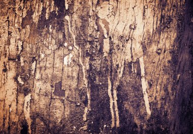 eski ahşap tahta, arka plan