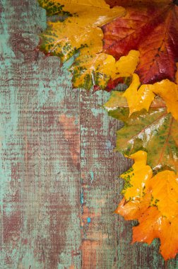 Ahşap arka planda sonbahar yaprakları