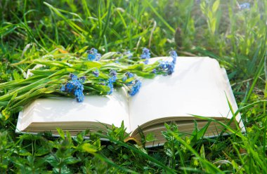 Çiçekli yeşil çimenler üzerine açık bir kitap.