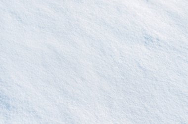 Taze karın arkaplanı