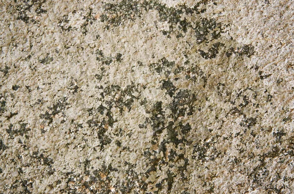Текстура Коричневого Камня — стоковое фото
