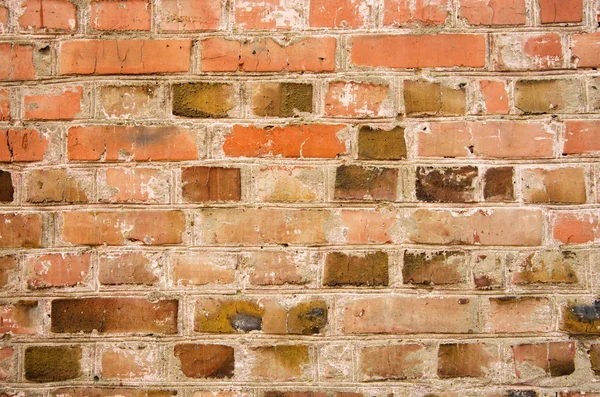 Bakstenen muur — Stockfoto