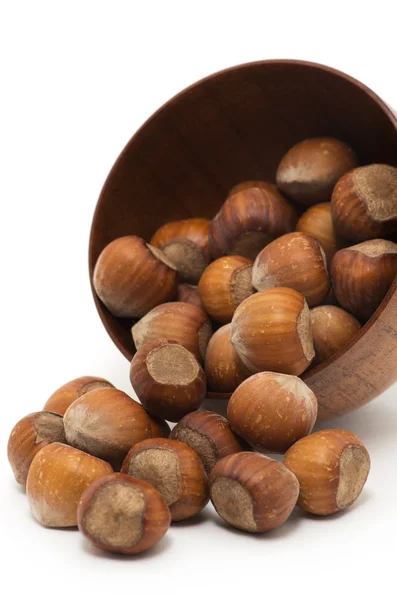 Hazelnuts — Stock Photo, Image