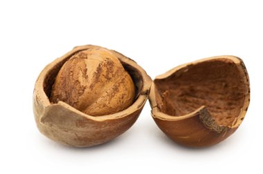 fındık