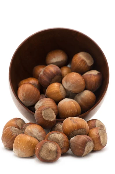 Hazelnuts — Stock Photo, Image