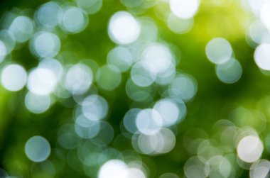 doğal arka plan bulanık.