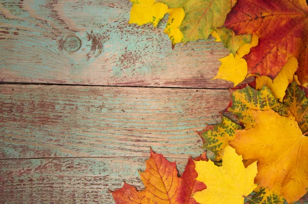Podzimní listí přes dřevěné pozadí — Stock fotografie