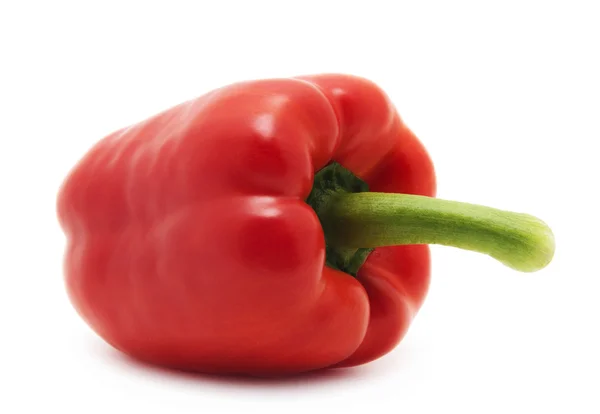 Sweet pepper isolated on a white background — Stock Photo, Image