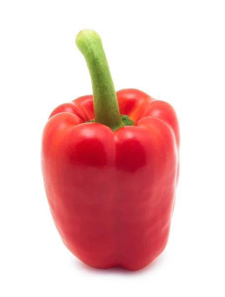 Sweet pepper isolated on a white background — Stock Photo, Image