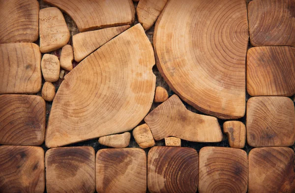 Textura de madera del tronco cortado —  Fotos de Stock