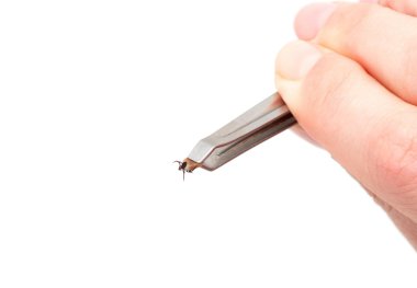 Beyaz bir arka plan üzerinde izole icks,