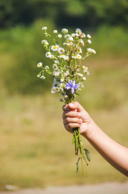 Bir buket kır çiçeği.