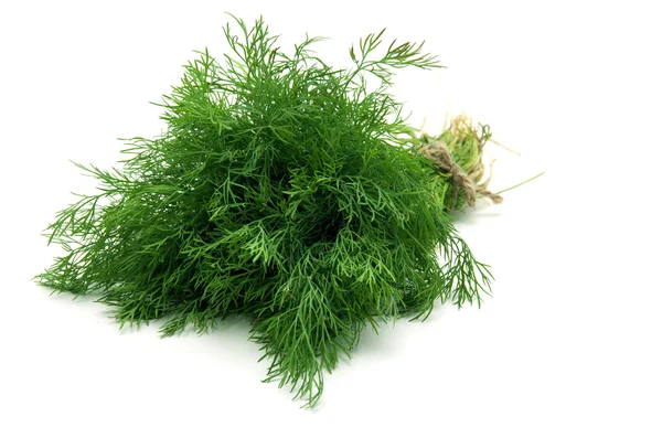 Färsk dill — Stockfoto