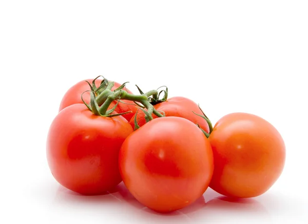 Pomodori — Foto Stock