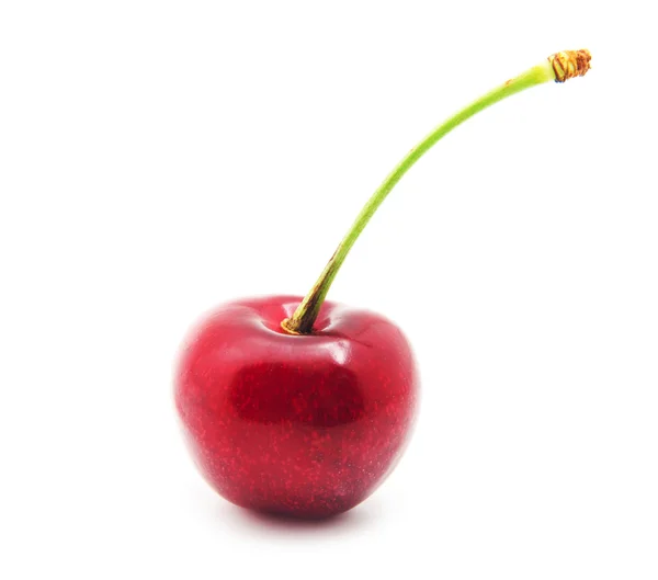 Cherry isolerade — Stockfoto