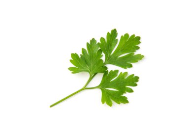 Beyaz arkaplanda taze maydanoz yaprakları