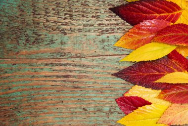 Sonbahar yaprakları ahşap arkaplan üzerinde kopyalama alanı ile
