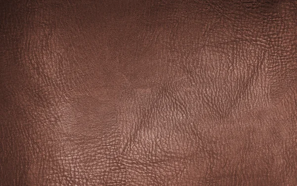 Texture cuir marron — Photo