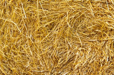 Saman dokusu. Saman balyaları büyük yığın halinde istiflenir. Tarımda hasat..