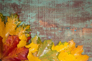 Ahşap arka planda sonbahar yaprakları