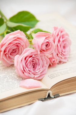 Güller ve eski kitaplar. Tonu ayarlanmış resim