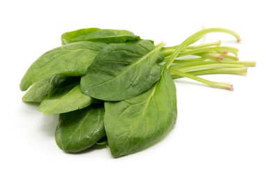 Beyaz arkaplanda ıspanak