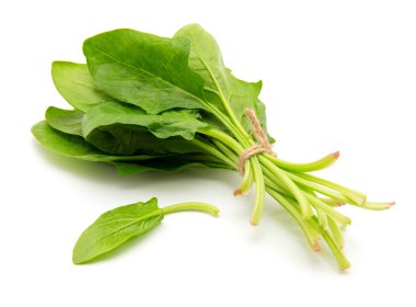 Beyaz arkaplanda ıspanak