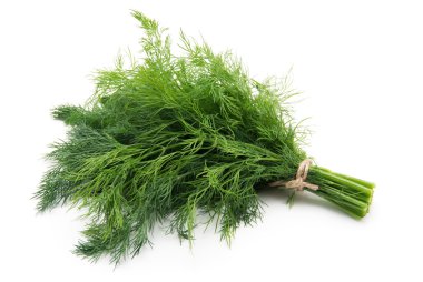 Taze dereotu beyaz arkaplanda kapat