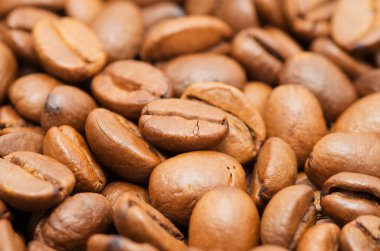 kahve çekirdekleri ile odak bir closeup