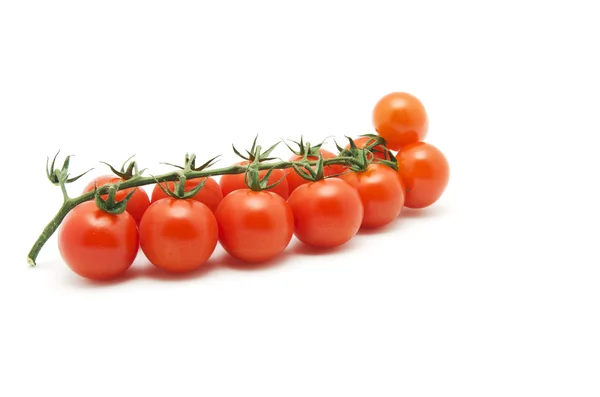 Ramo di pomodorini isolati su bianco — Foto Stock