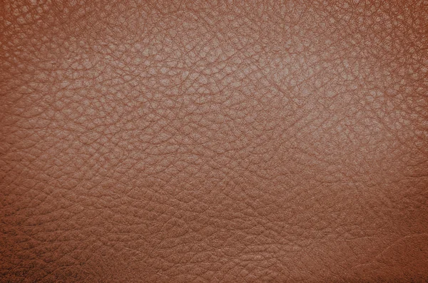 Texture cuir marron — Photo