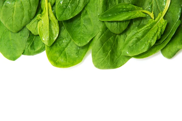 Spinach on a white background — Stock Photo, Image