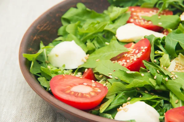 Green salad made with arugula, tomatoes, cheese mozzarella Stock Image