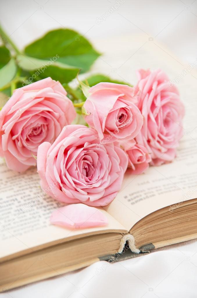 Roses and old book. Toned image