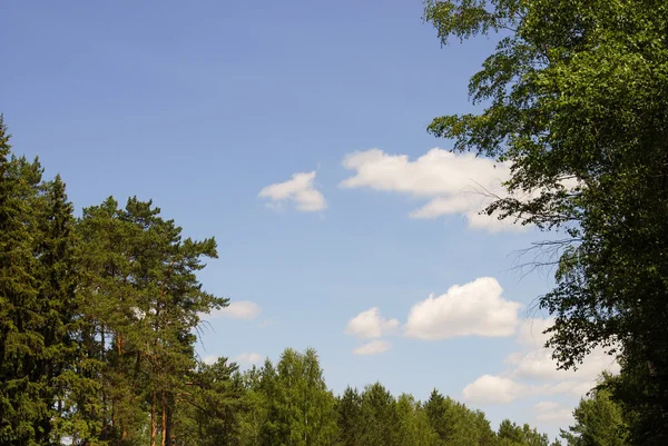 Gökyüzü görünümü geniş