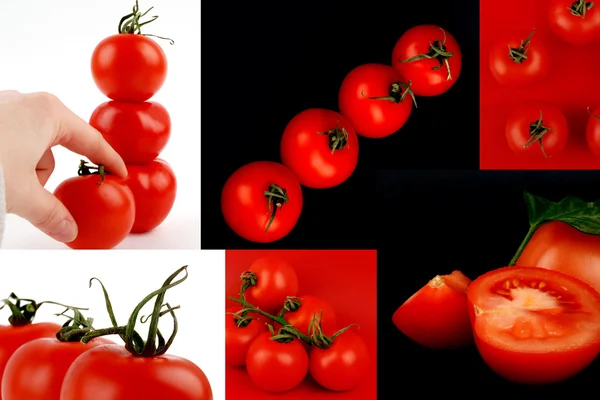 Tomaten aus nächster Nähe — Stockfoto