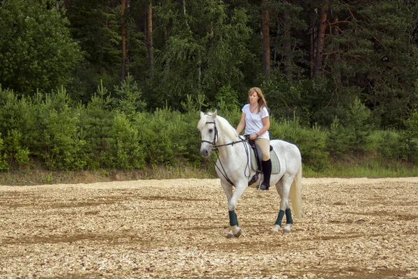 马和女人 — 图库照片