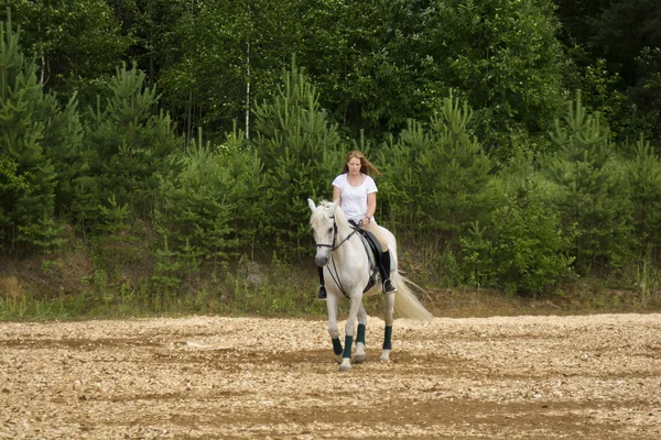 Лошадь и женщина Лицензионные Стоковые Изображения
