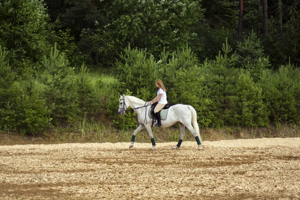 Cavallo e donna Foto Stock